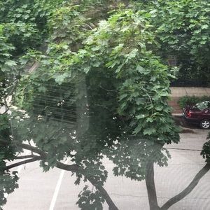 Meet your Posher, Leah